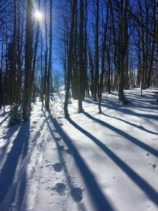 Backcountry Skiing Northern New Mexico