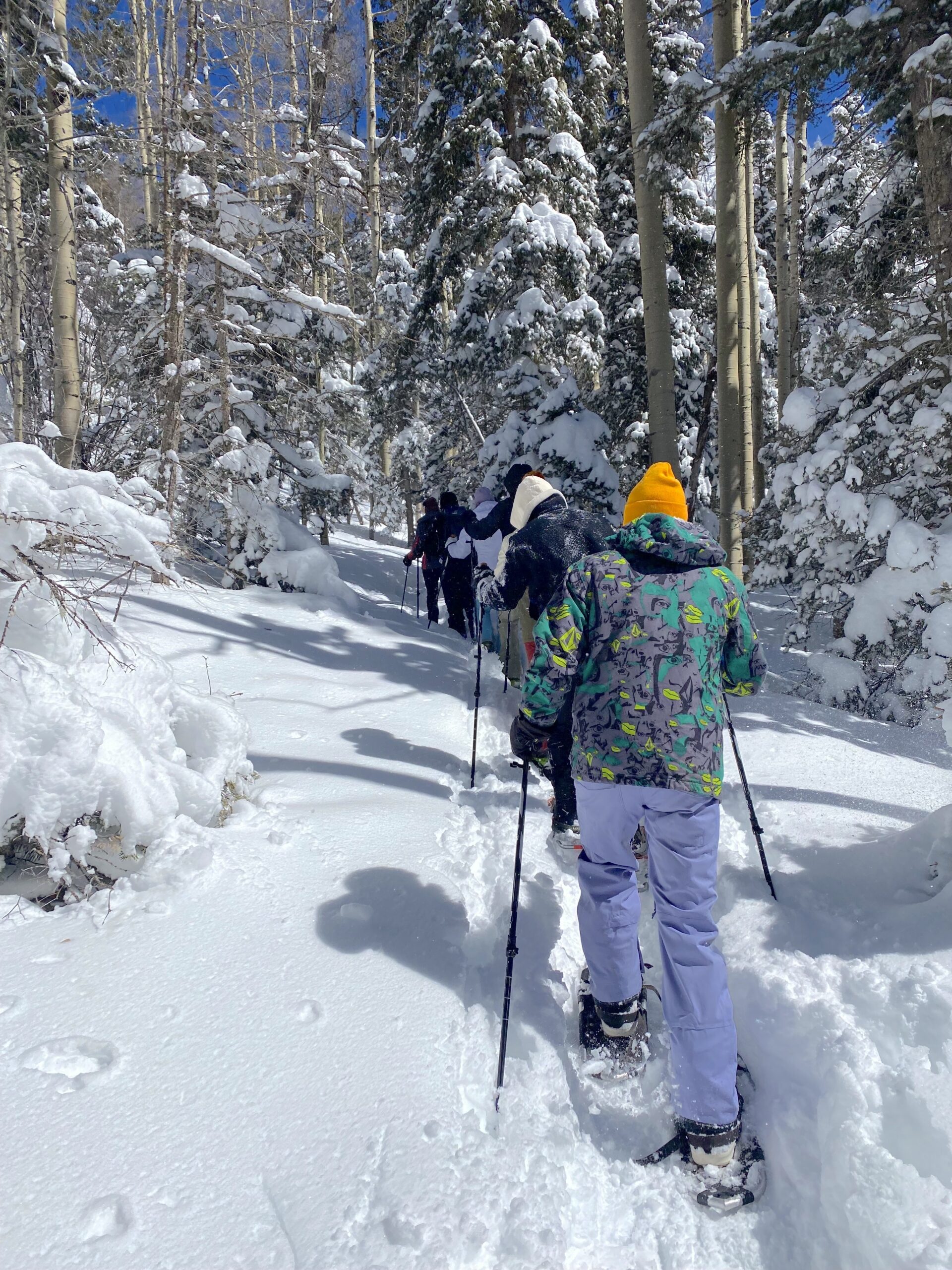Snowshoe Tours Taos Mountain Skills Rock Climbing Adventures